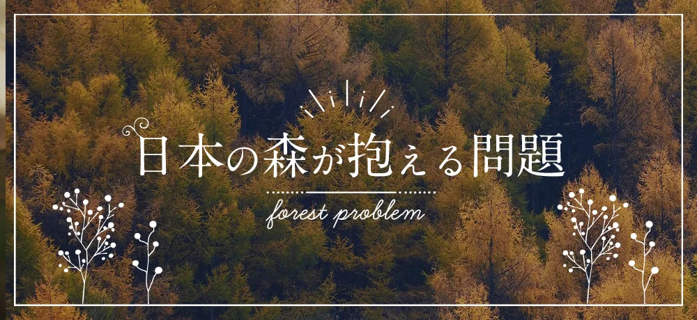 知ってほしい木のコト森のコト ぎふの木ネット