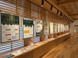 ぎふ木遊館にて「ぎふの木ネット」紹介展示を開催中です
