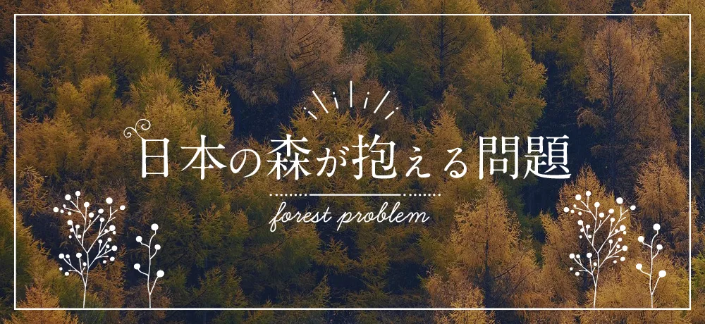 日本の森が抱える問題 ぎふの木ネット