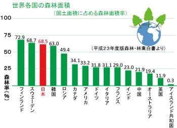 日本の森が抱える問題 ぎふの木ネット 日本の森が抱える問題 ぎふの木ネット